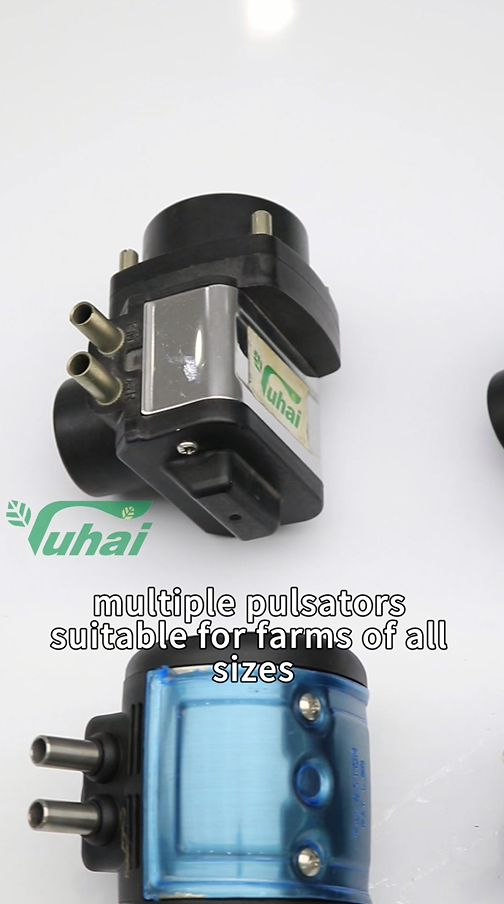 Пульсаторлордун тандоосу