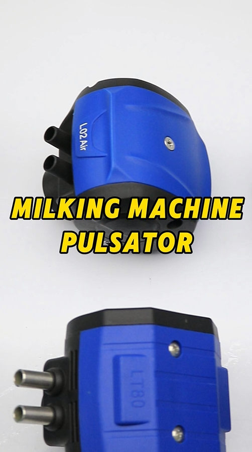 Pulsator Accessories Collection