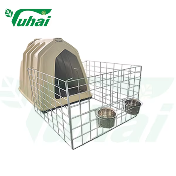 Bagaimana Kandang Anak Lembu Meningkatkan Biosekuriti dan Keselesaan Anak Lembu