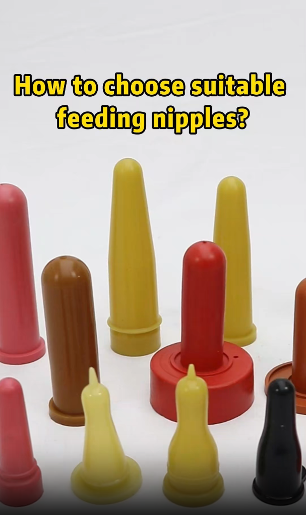 Multiple Teat Options for Livestock