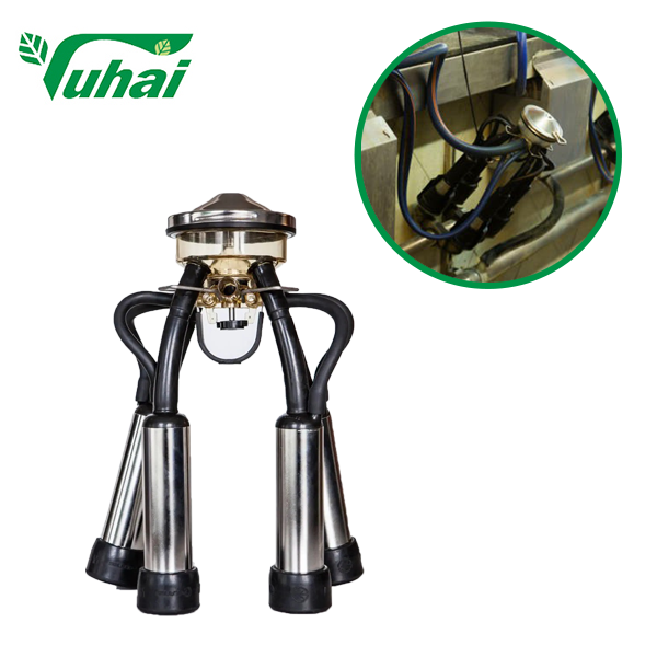 Maidonkoristusklusteri: Täydellinen opas tyyppeihin, osiin ja etuihin