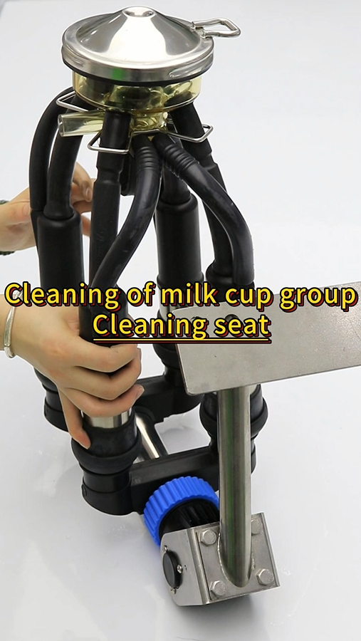 Сүт стакан тобунун тазалоо орундугу