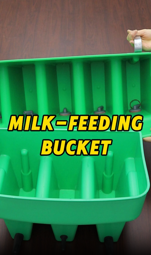 Durable Multi-Purpose Feeding Buckets