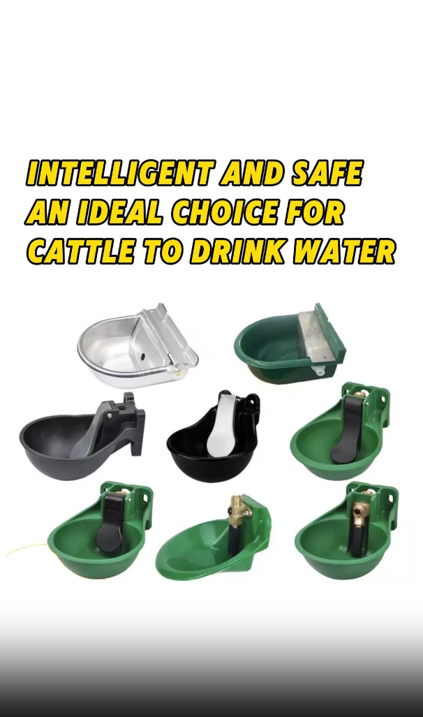 למה קערות שתייה חיוניות לבעלי חיים במרעה