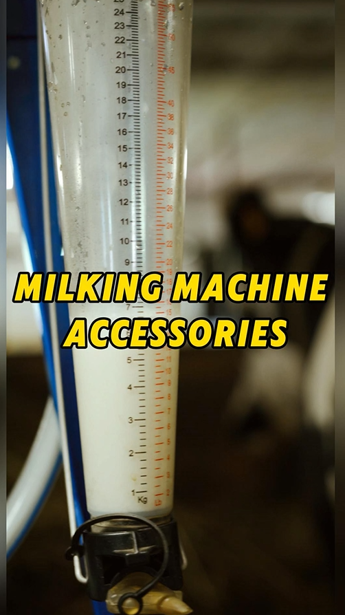 Manual vs Mechanical Milking Comparison