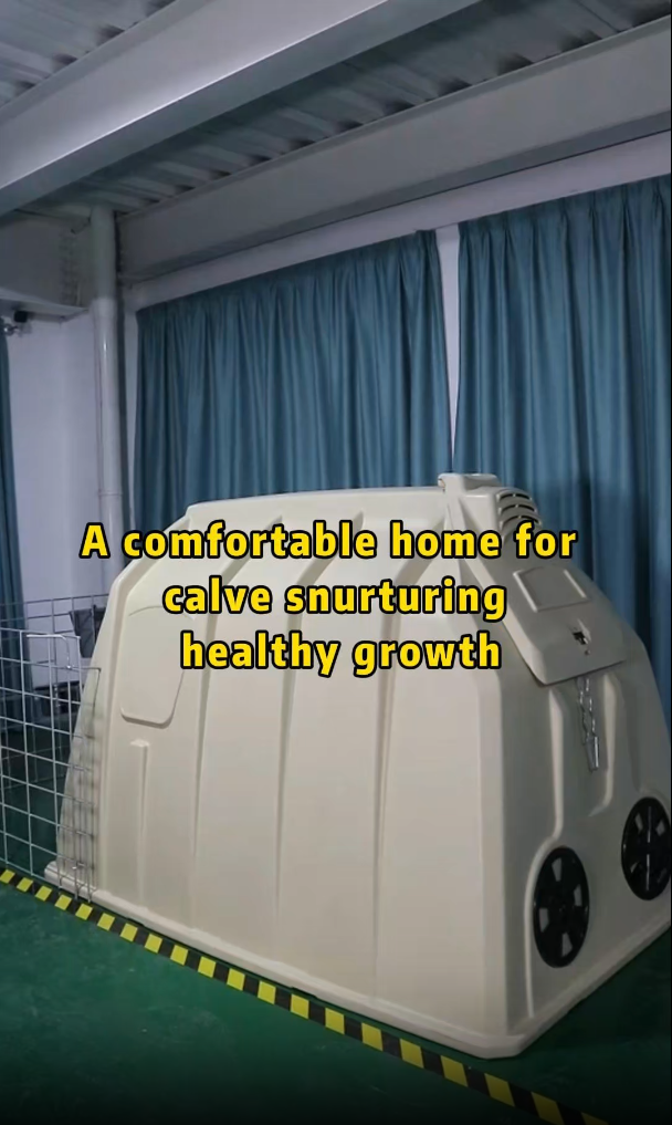 היכרות עם Calf Island