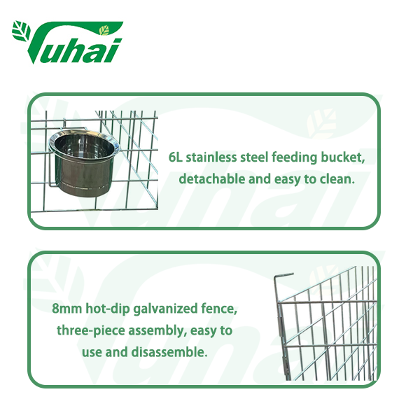 Porsasaitat terveille, vahvoille vasikoille