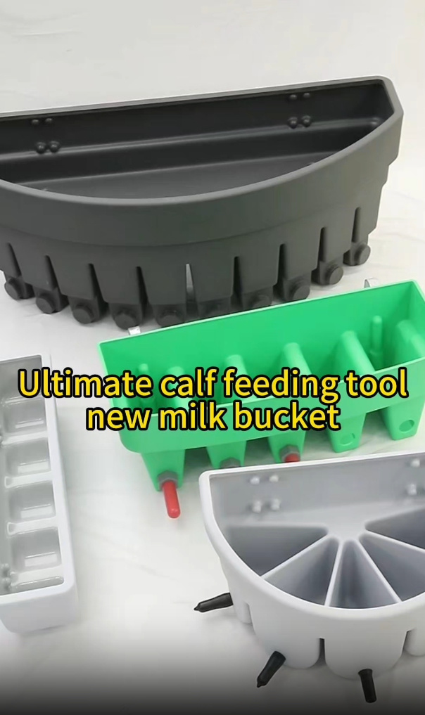 Durable Large Feeding Bucket Showcase