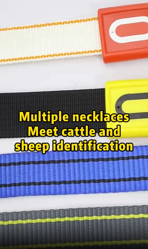 Multiple Cattle Neck Tag Options