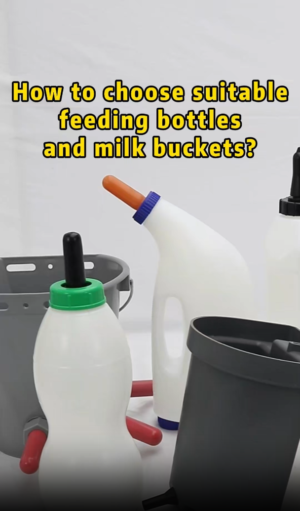 Complete Range of Feeding Products Showcase