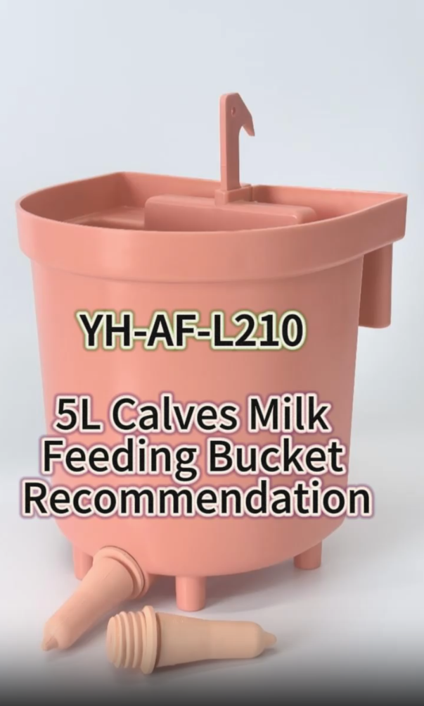 Pink 5L Feeding Bucket