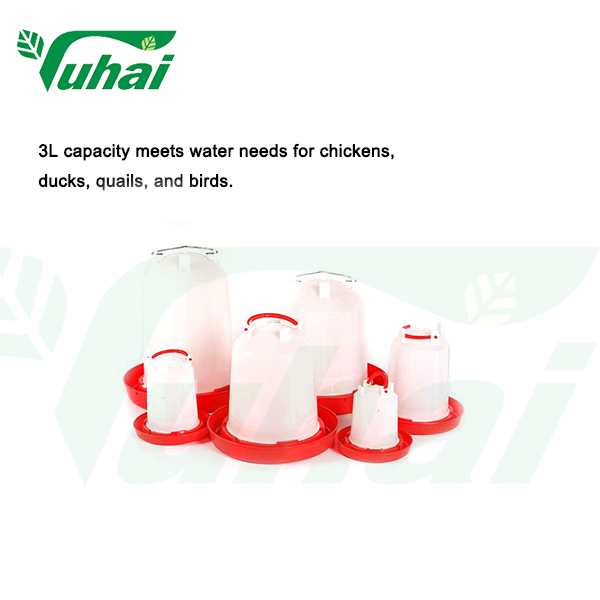 Kanansyöttimien ja juomalaitteiden kattava opas: Valitse oikea järjestelmä kanalaallesi