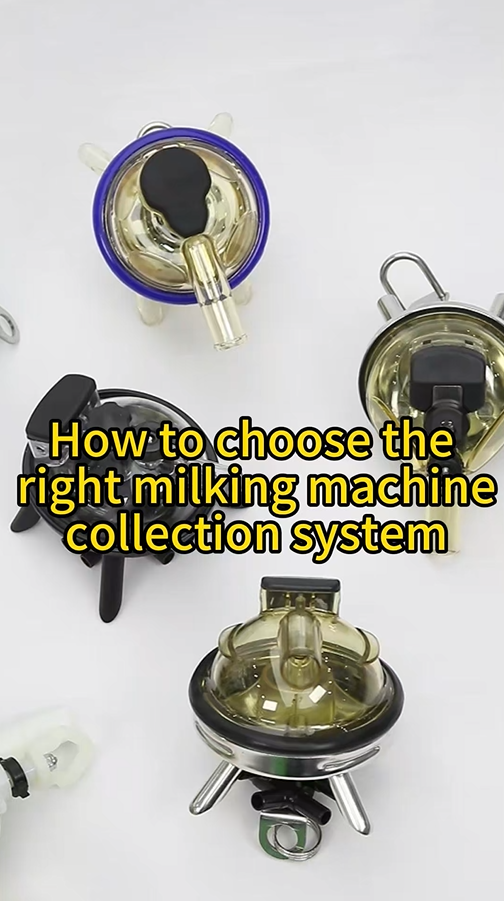 Milking Machine Milk Collector Introduction