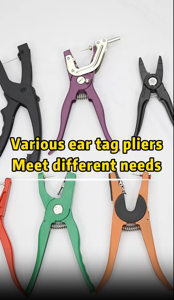 Ear Tag Applicators for Cattle & Sheep