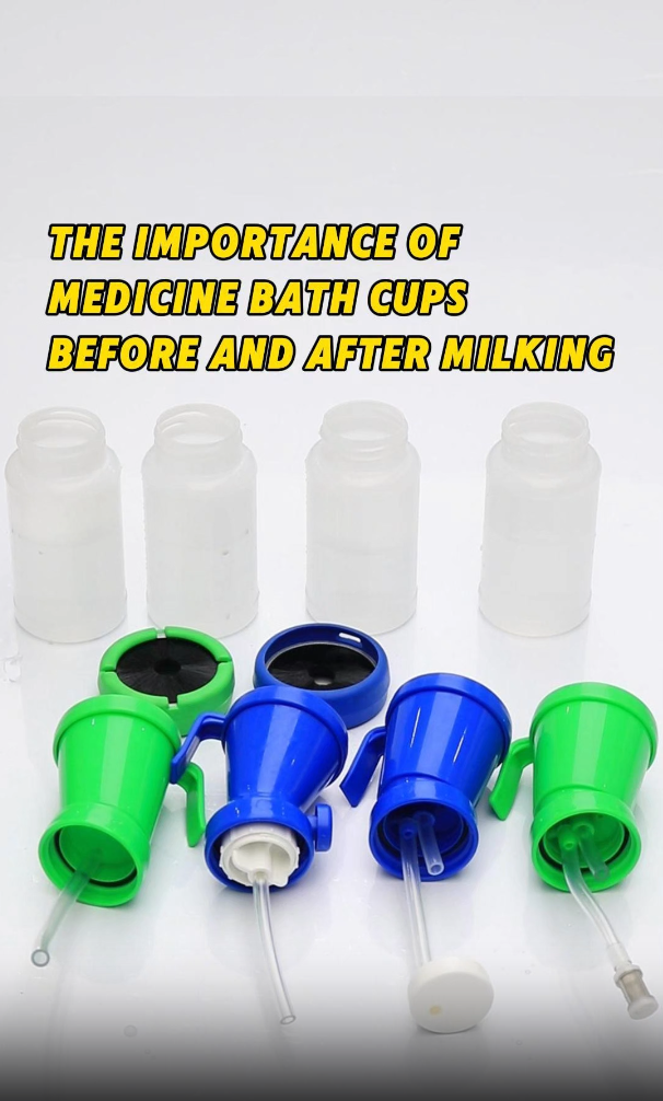 למה כוסות רחצה תרופתיות חיוניות לבהמה