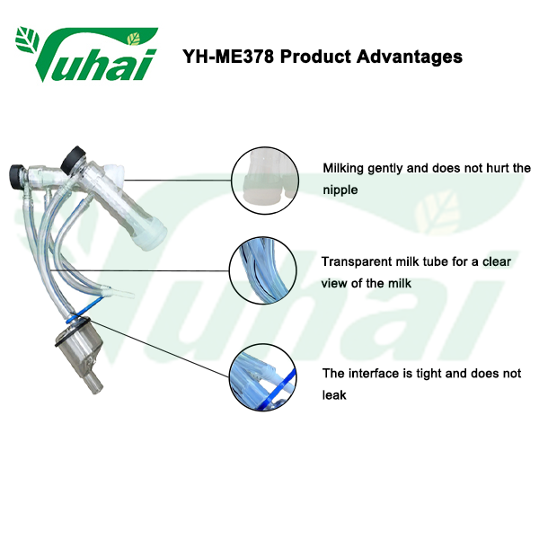 Maidonkoristuskone kauruille | Tehokas ja hellä maidonkoristus laumallesi
