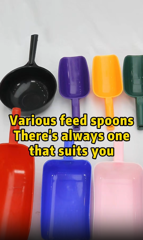 Recommended Feed Scoops in Multiple Styles