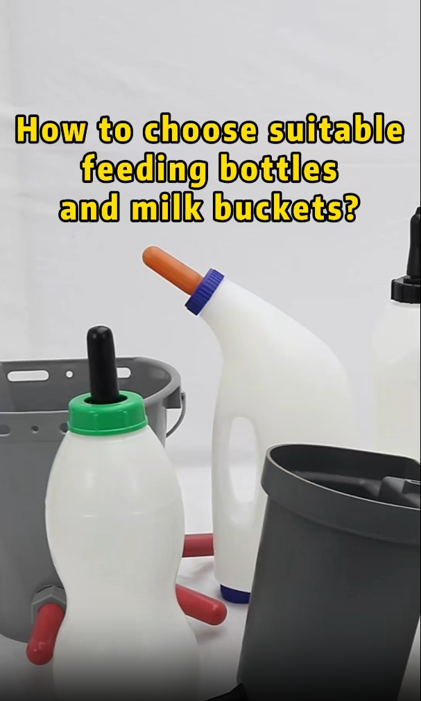 Complete Range of Feeding Products Showcase