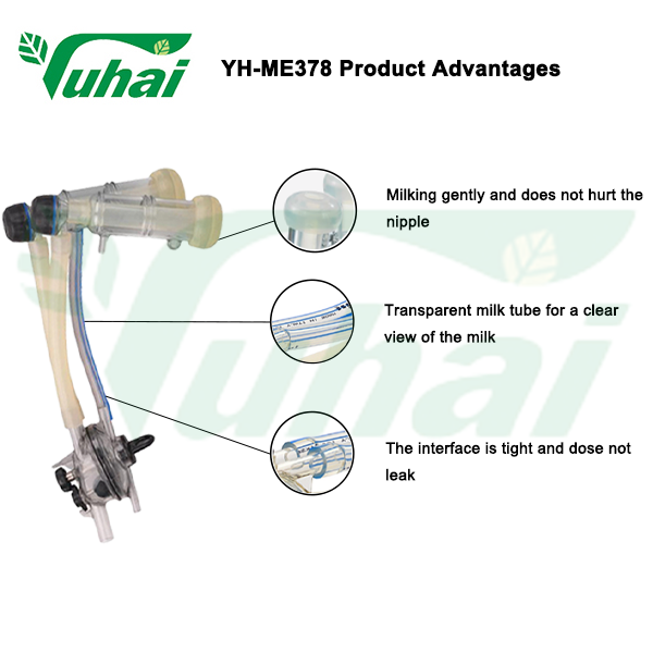 Tehokas ja hellä nautaeläinten vuohimaitolaitteisto | Täydelliset järjestelmät