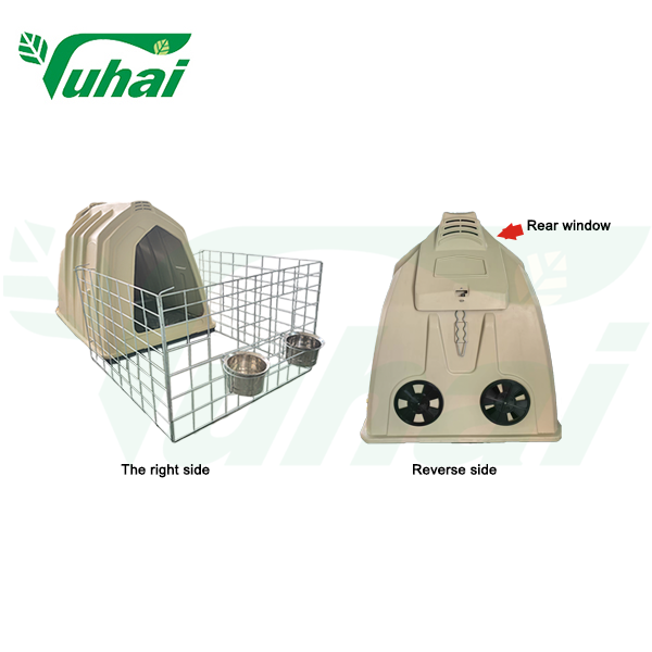 Norsunpoikasen kasvatuskarsinan ostajan opas: Valitse parasta ulkokotia terveille vasikoille