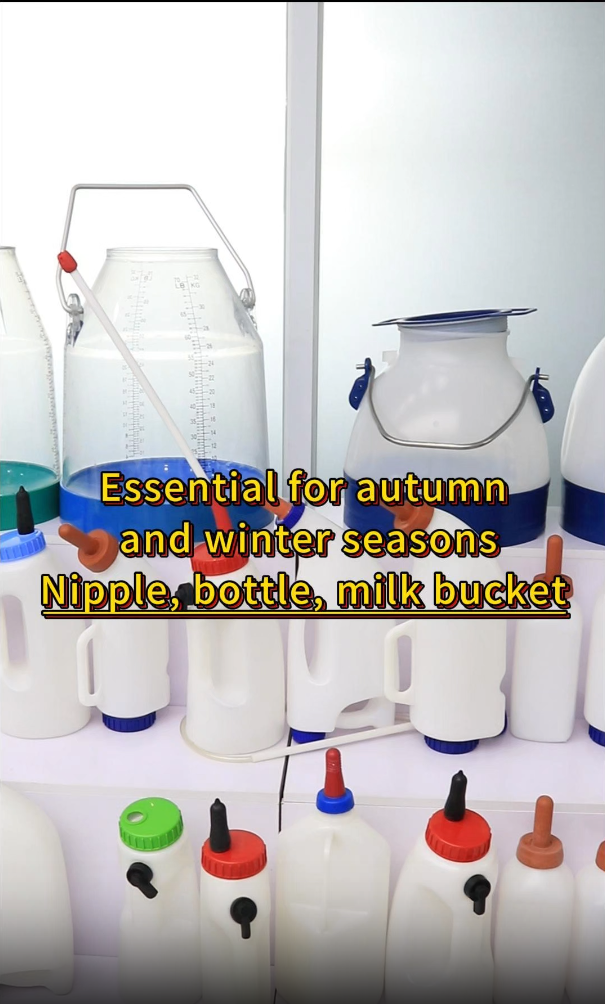 חיוני לעונות הסתיו והחורף גלגלת