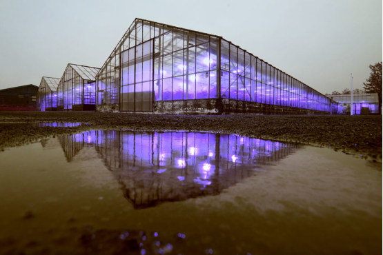 Introduction to Photosynthetically Active Radiation (PAR)