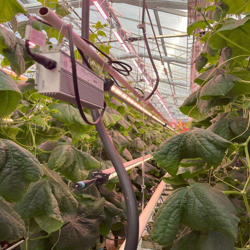 LED Grow Light Bar.jpg