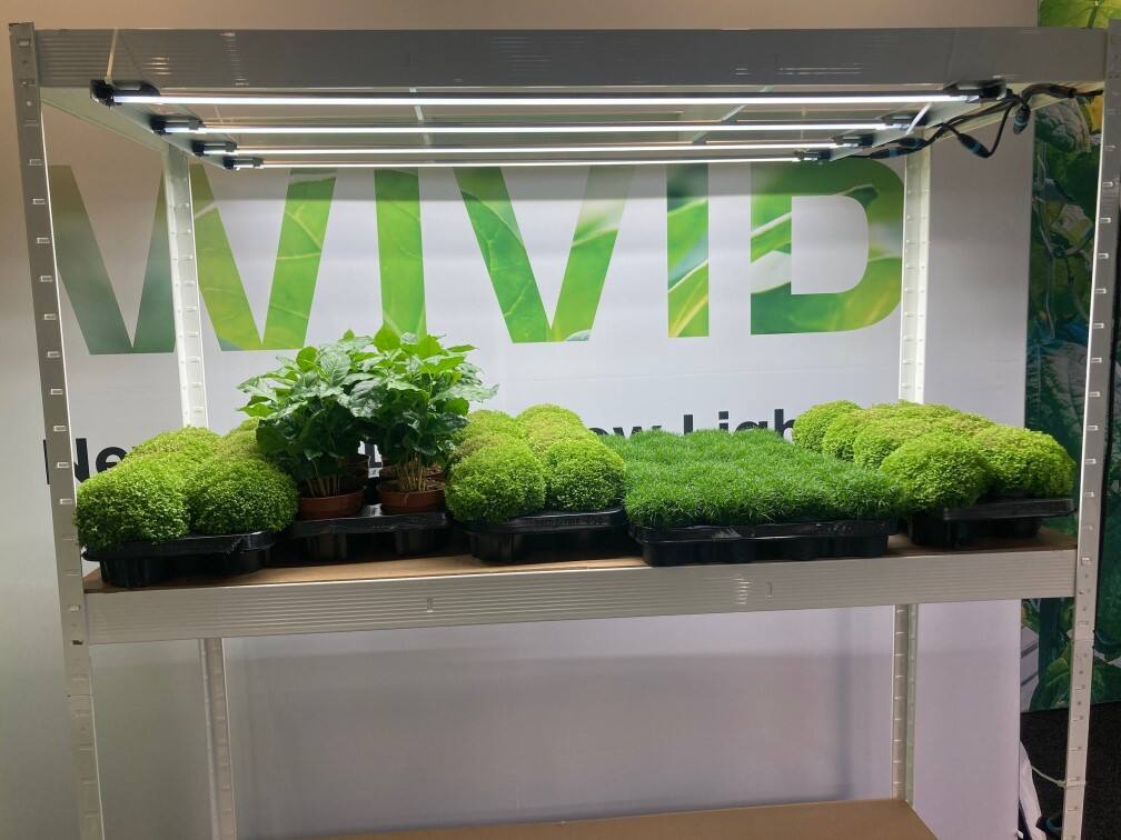 Solar Grow Lights For Greenhouse