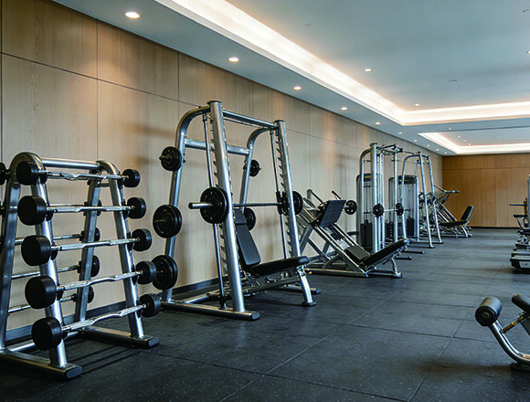 Fitness Equipment Industry