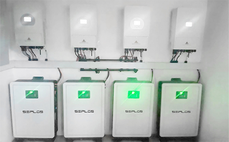 PoLo Family Energy Storage System