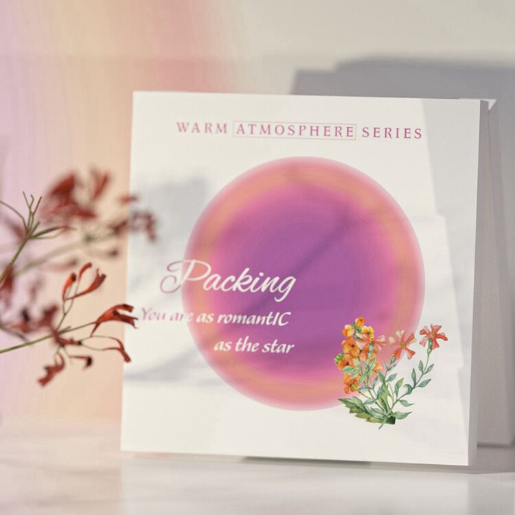 PC7038-A Eco-friendly Empty Eyeshadow and Blush Case,eyeshadow Palette Plastic Case,empty Eyeshadow Palette Container case With Mirror details