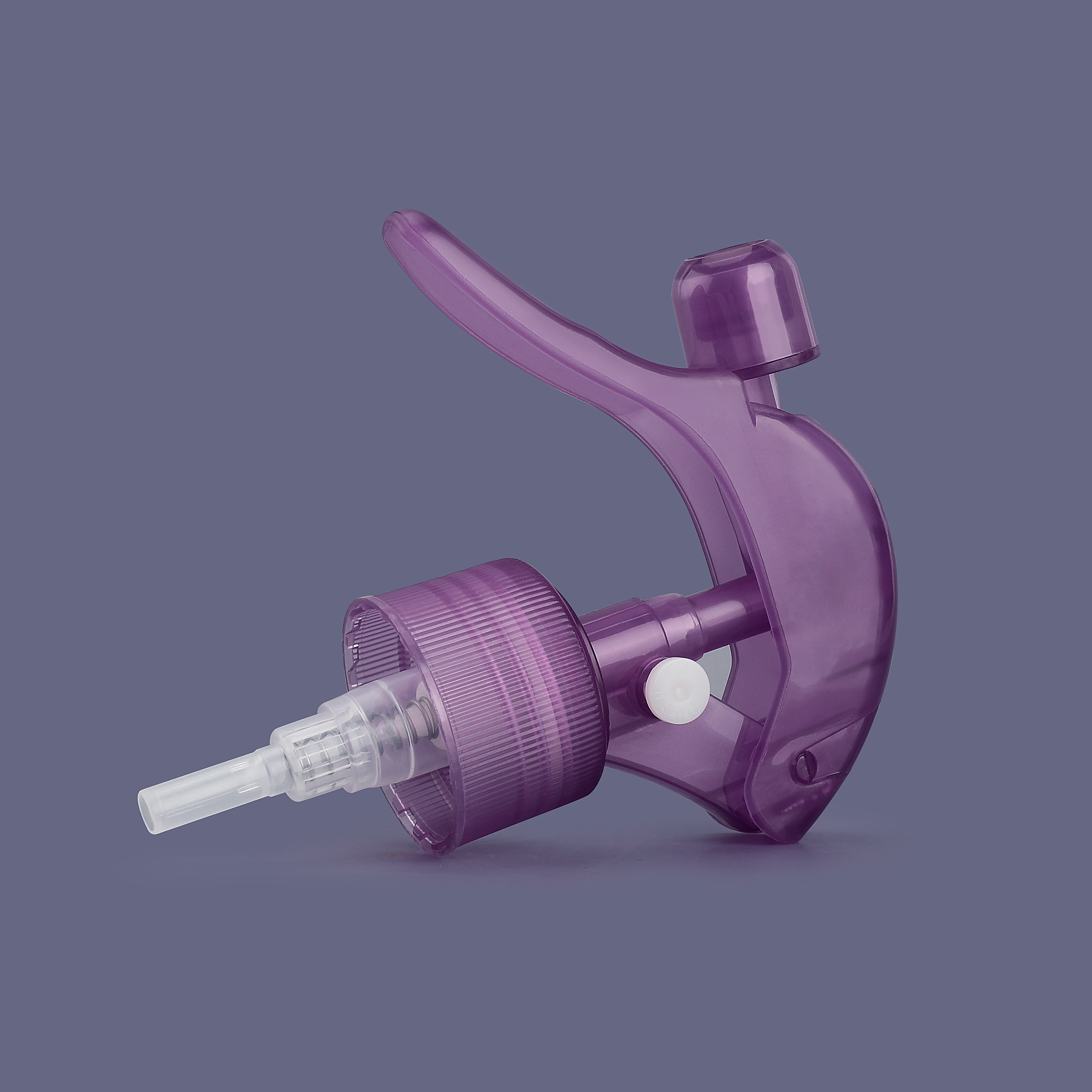 T2806 (7)(5427e77eb0).jpg