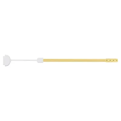 The Importance of High-Quality Consumables: Impact of Ionm Electrodes on Neuromonitoring Signal Stability
