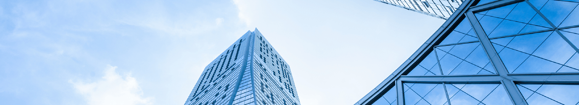 Customized Production