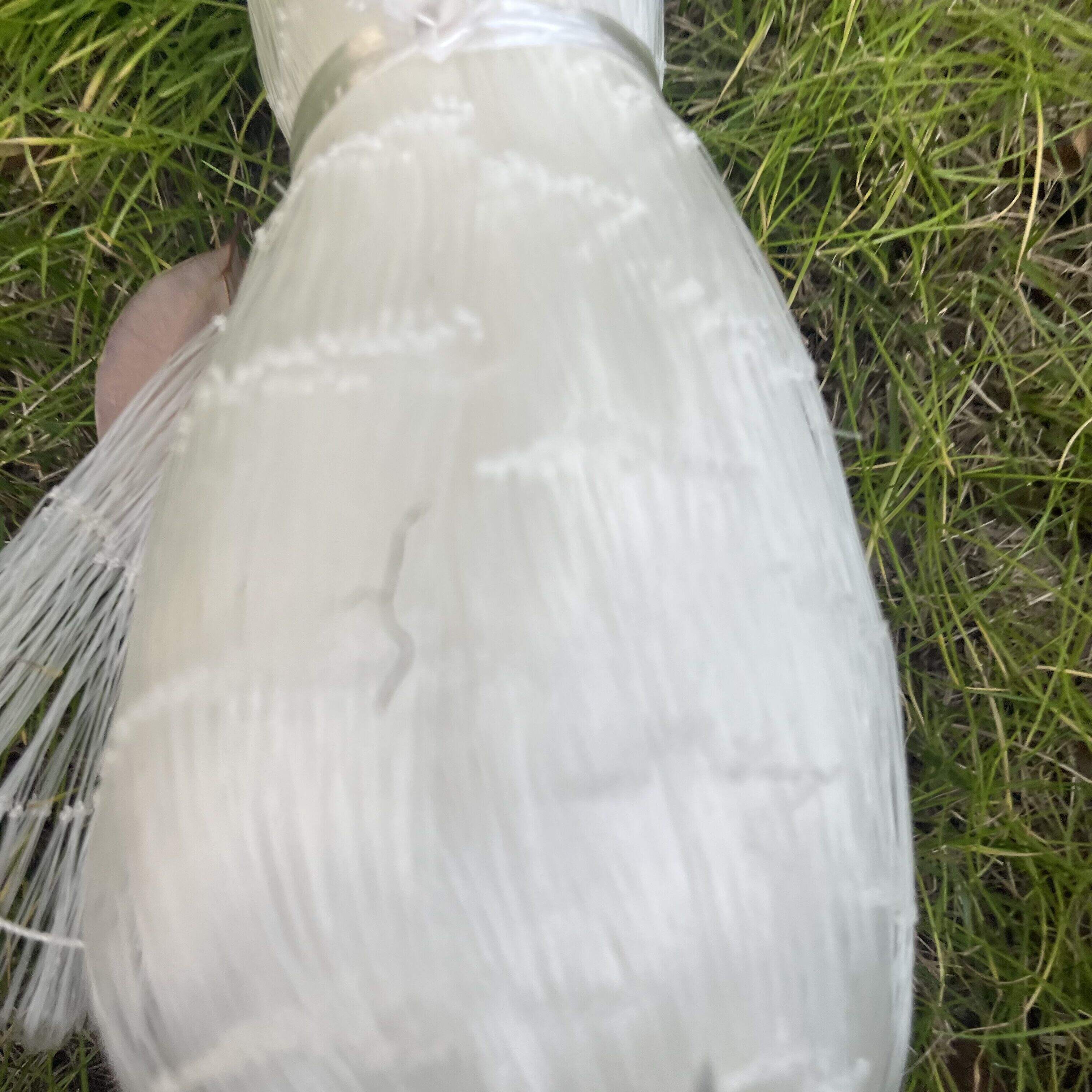 Eficiência Superior na Captura e Seletividade por Espécies