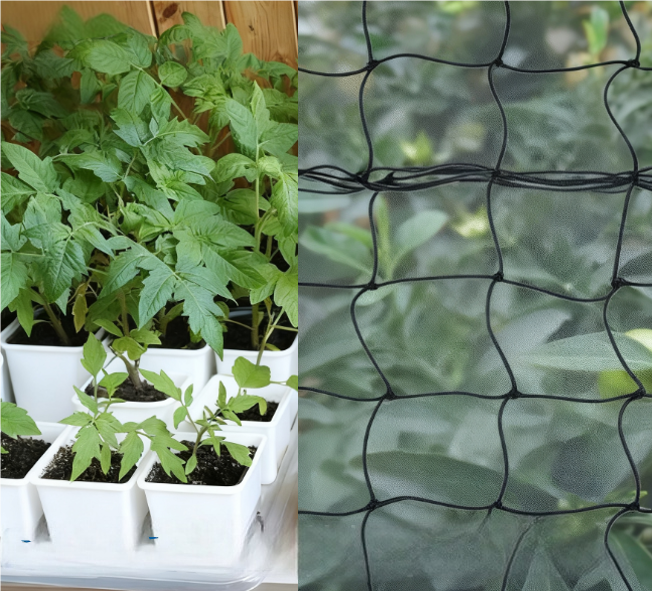 Versatile Application Across Multiple Growing Environments