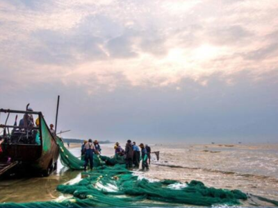 Casting a Sustainable Future How Innovation in Fishing Nets is Protecting Our Oceans