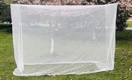 Mosquito Nets: Guardian of Health and Comfort