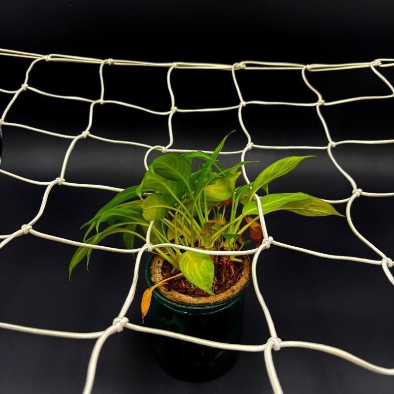 Scrog net Elastic Trellis Netting Grow tent net for Plant support ...
