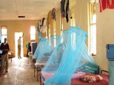The Unseen Shield: How Mosquito Nets Remain a Cornerstone of Global Public Health