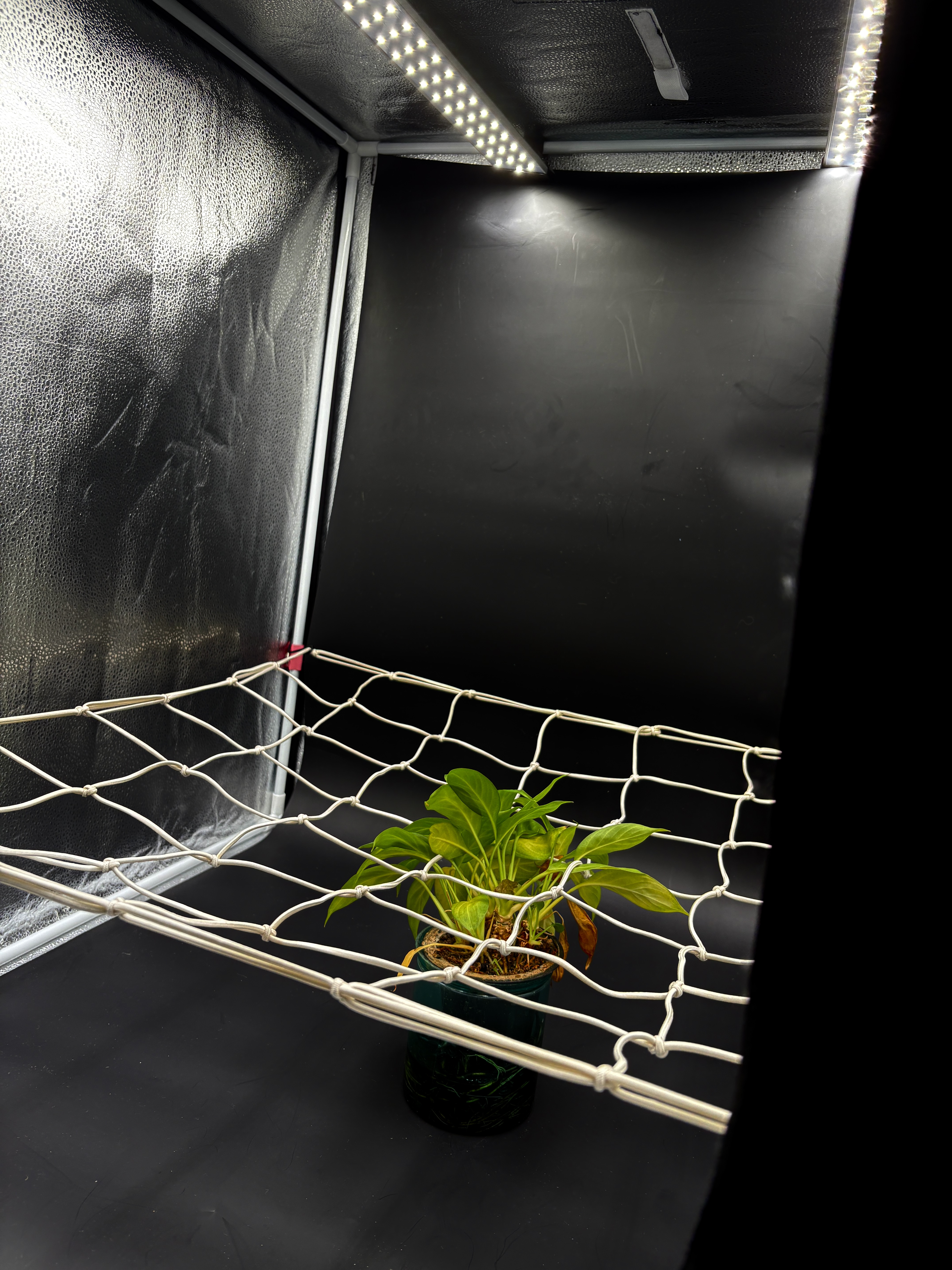 Durabilidade superior e resistência a intempéries