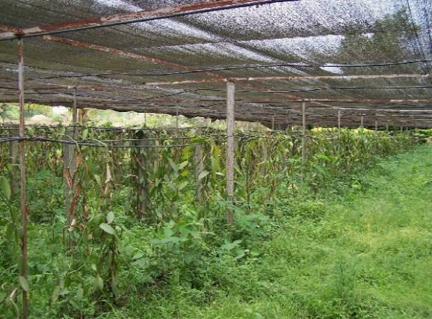 The Technological Revolution in Agricultural Nets for a Hungry Planet 2