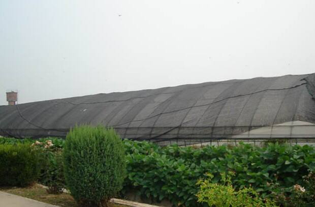 The Technological Revolution in Agricultural Nets for a Hungry Planet