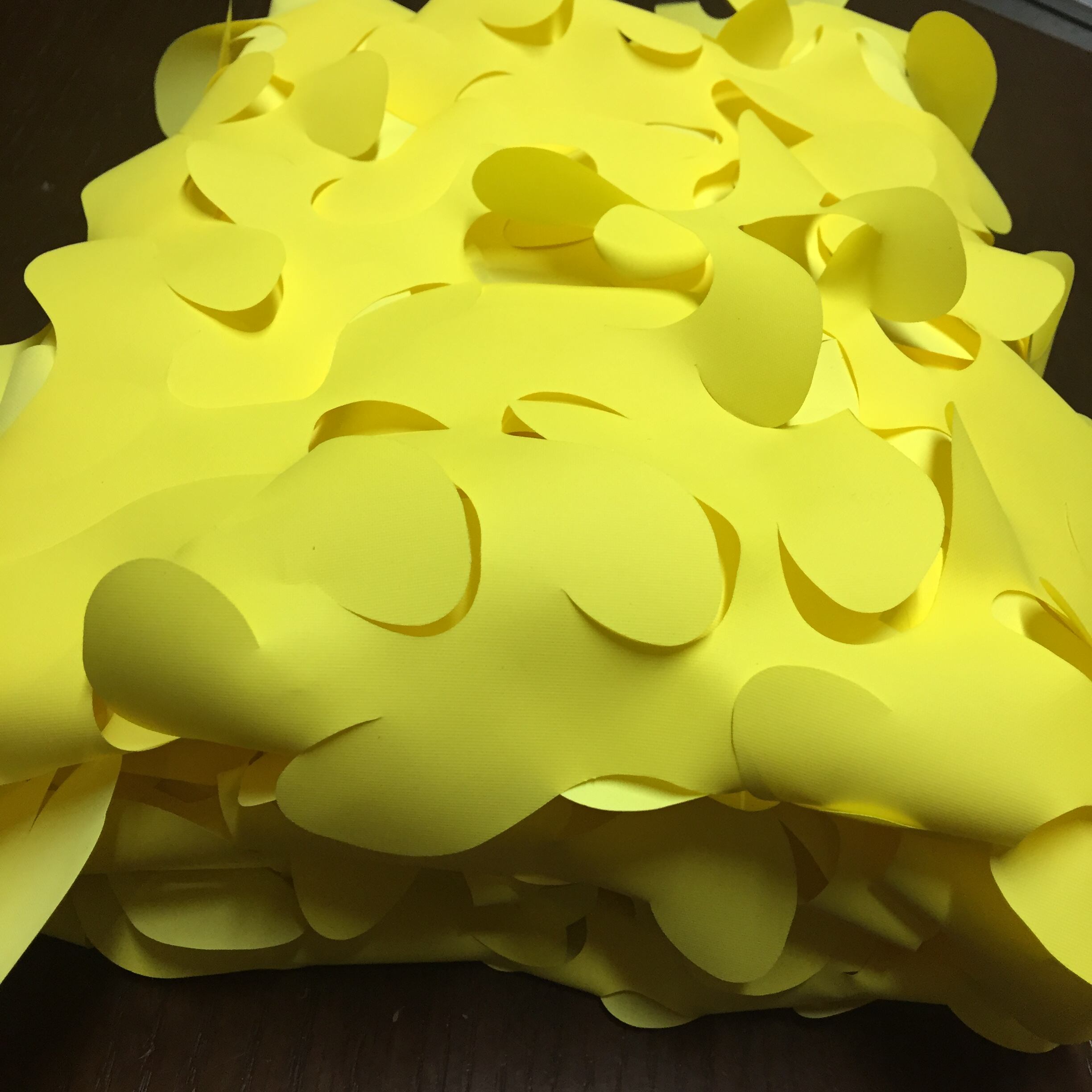 Portabilité Légère et Déploiement Polyvalent