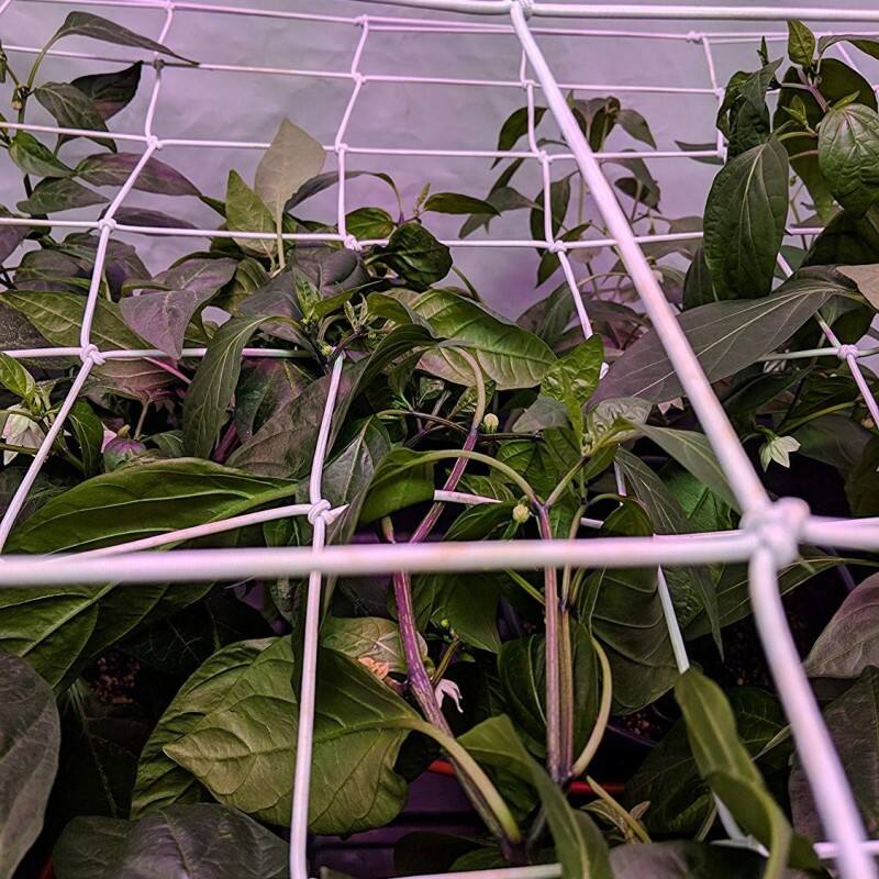 Scrog net Elastic Trellis Netting Grow tent net for Plant support