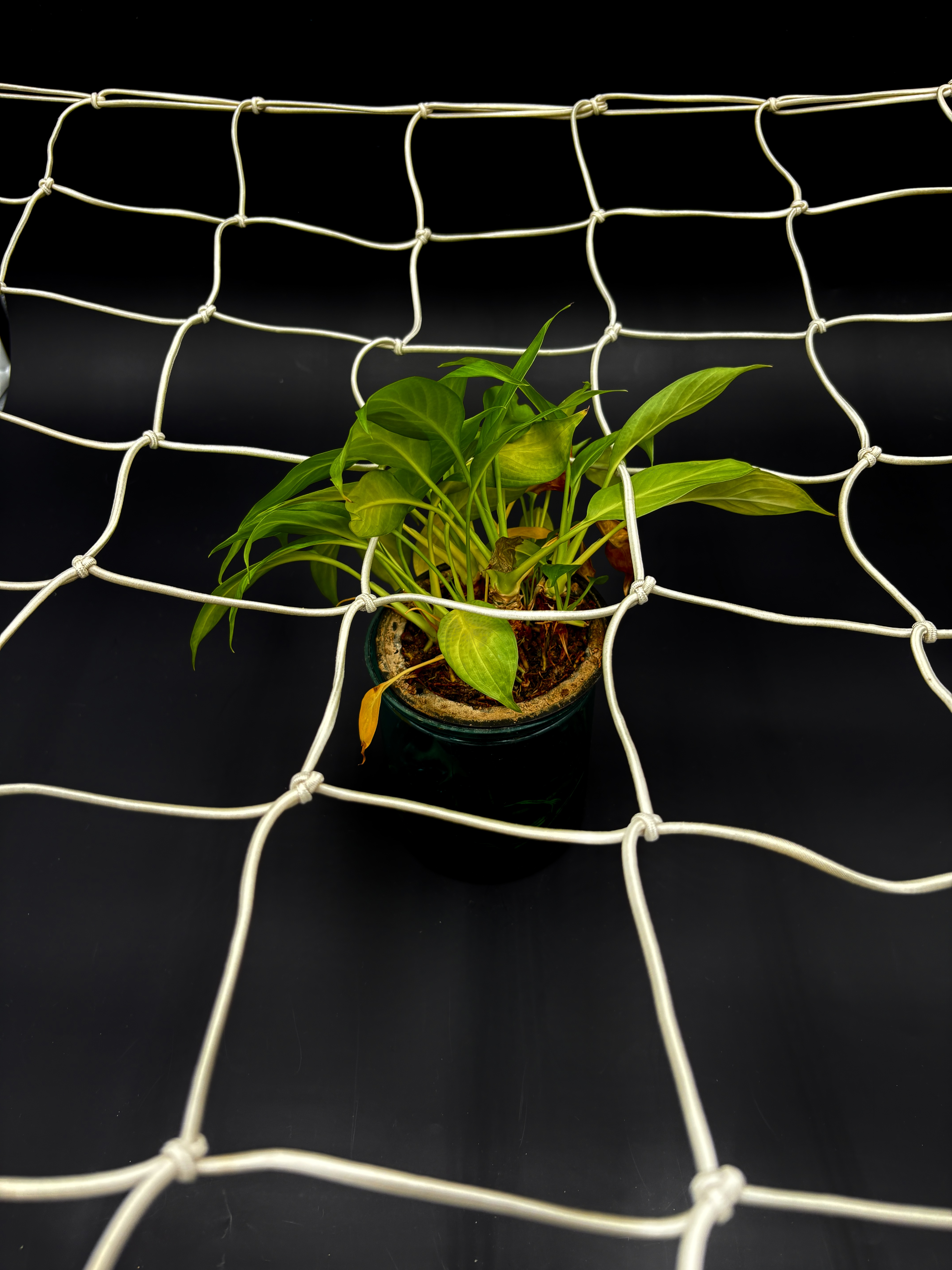 Instalação Versátil e Otimização de Espaço