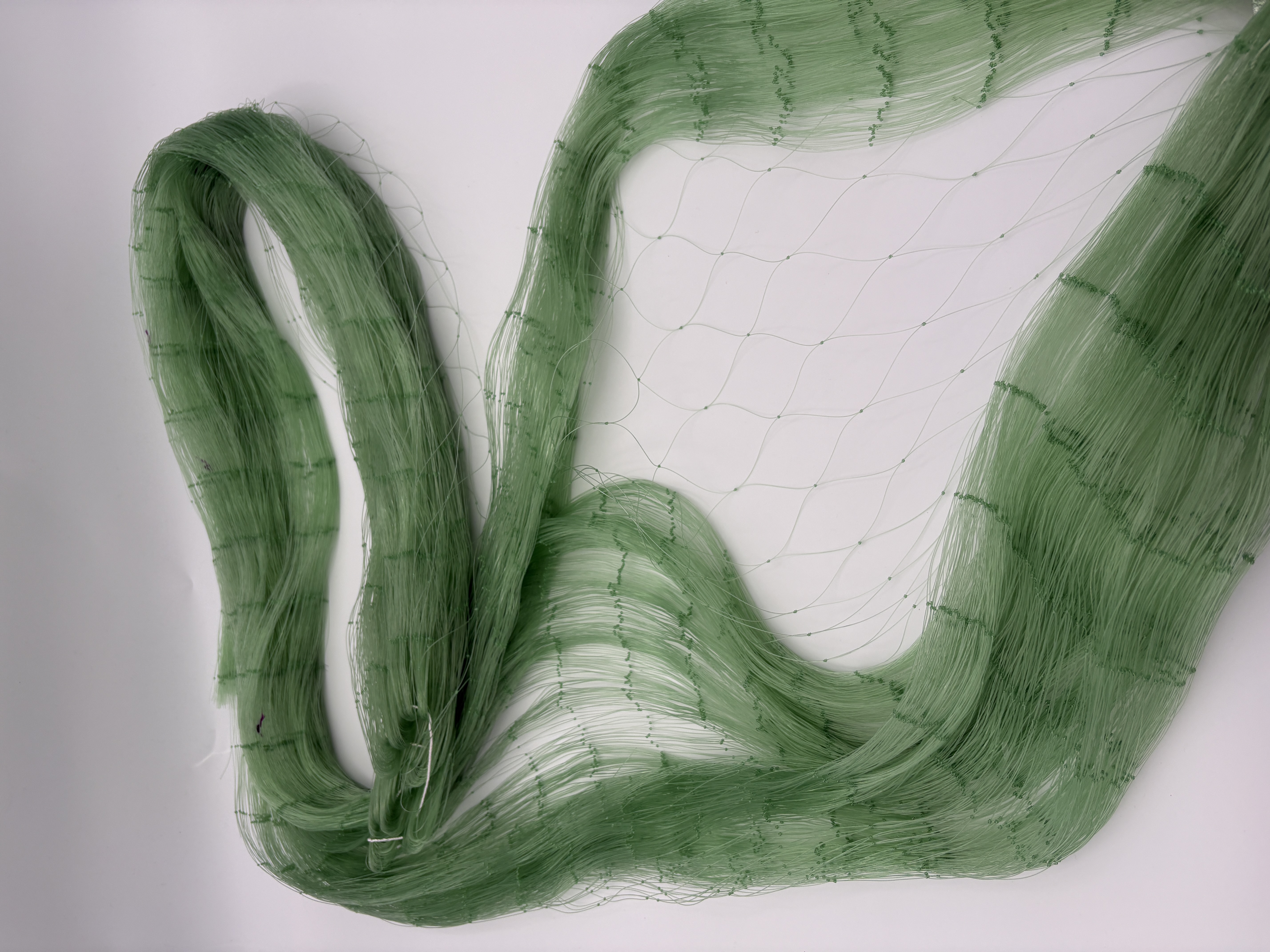 Invisibilidade Superior Subaquática para Máximo Sucesso na Captura