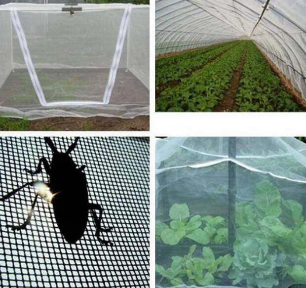 The Technological Revolution in Agricultural Nets for a Hungry Planet 3