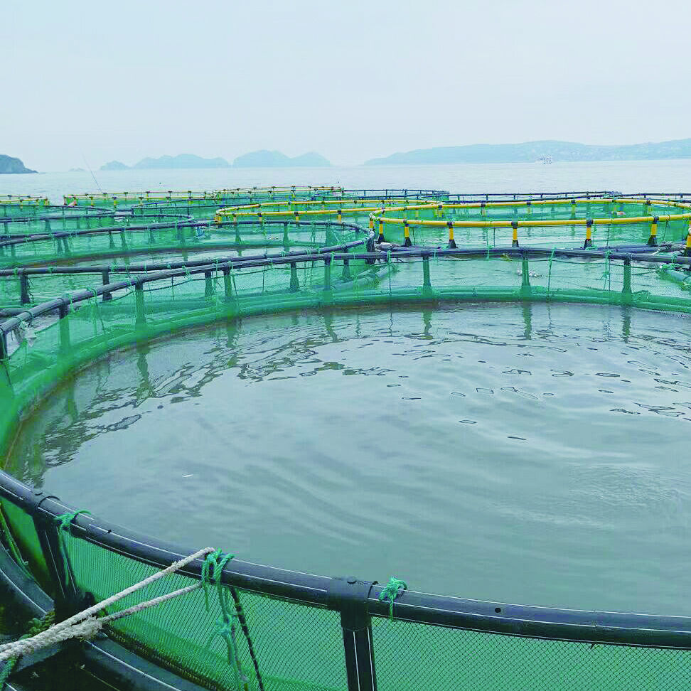 Sistema de Instalação Modular para Gestão Flexível de Fazendas