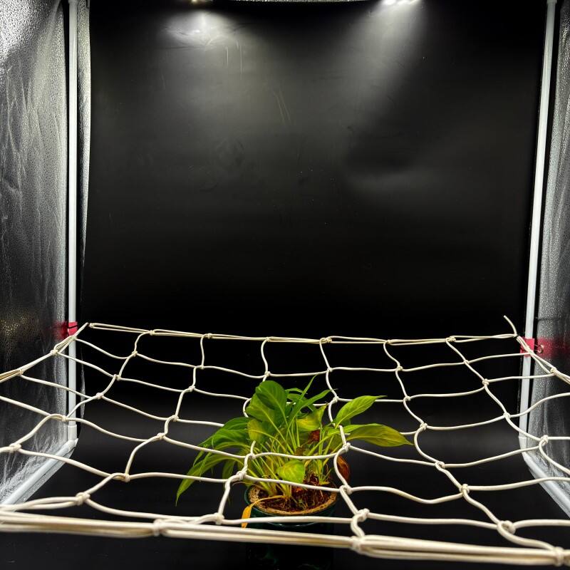 Scrog net Elastic Trellis Netting Grow tent net for Plant support ...